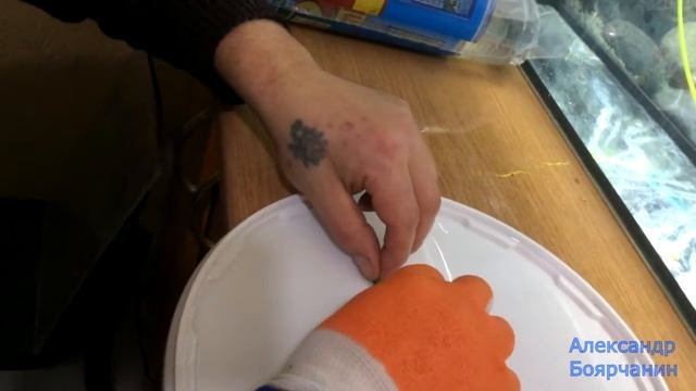 Отправка живой рыбки в другой город! смотреть онлайн