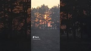 1000023841.mp409.03.2024г.