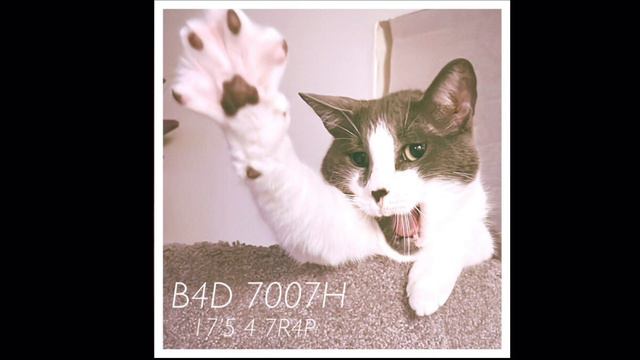 B4D 7007H - “17’5 4 7R4P” (FULL EP) 2022 смотреть онлайн