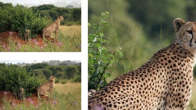 Tarangire National Park