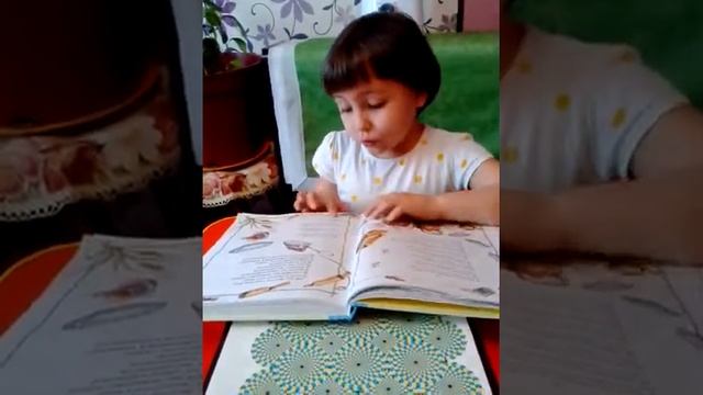 София читает.Федорино горе, продолжение смотреть онлайн
