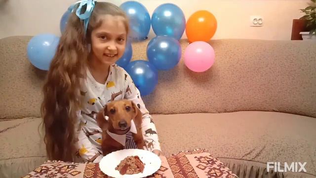 Такса Тайсон празднует день рождения🎁🎉🍖🧡💖🐾☺🌼 смотреть онлайн
