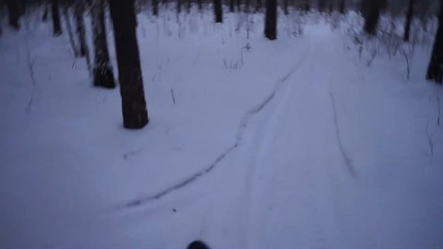 Катаемся на санках смотреть онлайн