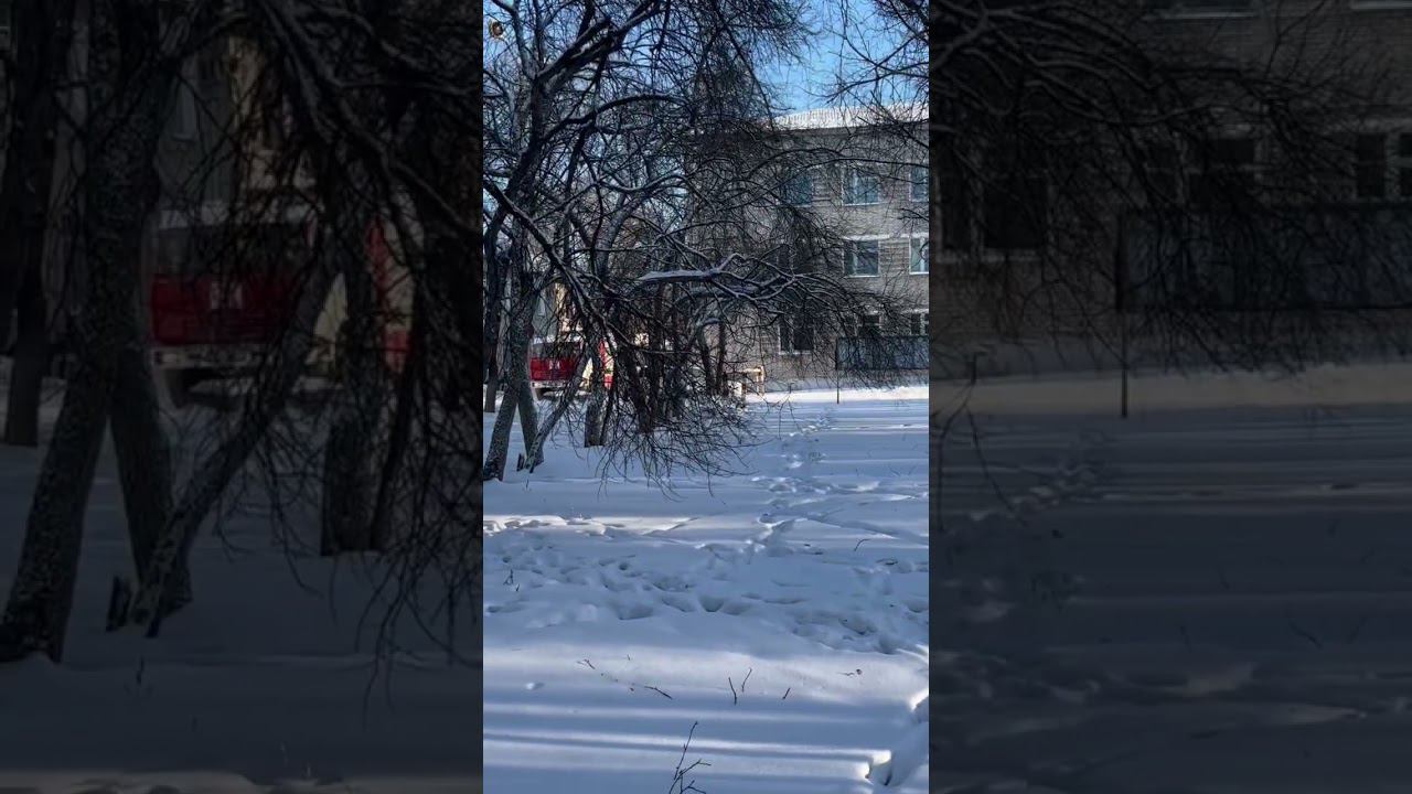 Военкомат эвакуируют, предварительно кто-то его «заминировал» смотреть онлайн