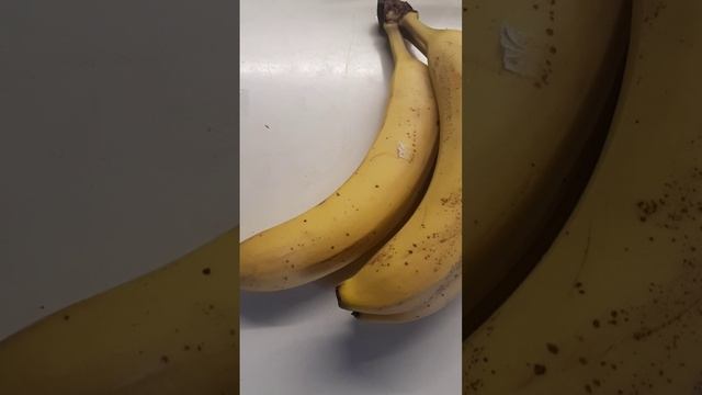 Татьяна Щурина