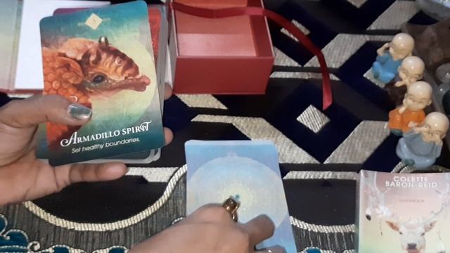 Unboxing The Spirit Animals Oracle Cards Deck @The divine light of tarot смотреть онлайн