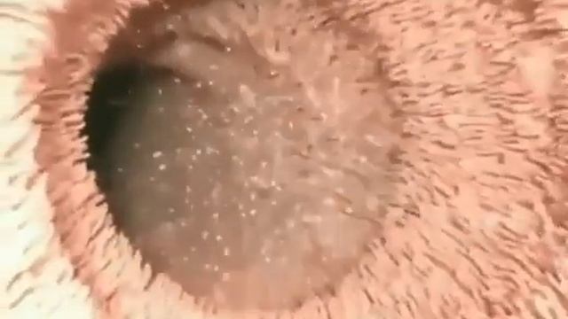 О том, что произойдёт, если проглотить таблетку