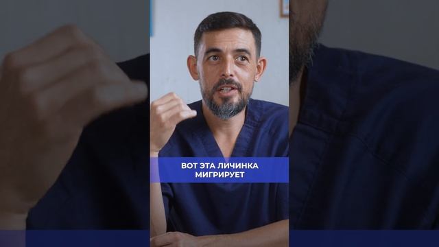 Как распространяются паразиты #паразиты #здоровье #масгутов #доктормасгутов #shorts смотреть онлайн