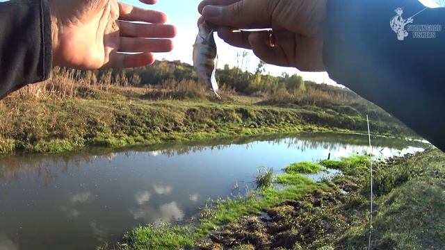 Наноджиг на речушке или прогулка со спиннингом в сельской глуши смотреть онлайн