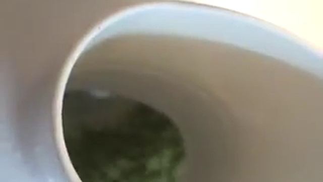 Домашие рецепты - МЯСО!!! РЕЦЕПТ БАРАНИНЫ в хрустящей корочке с травами смотреть онлайн