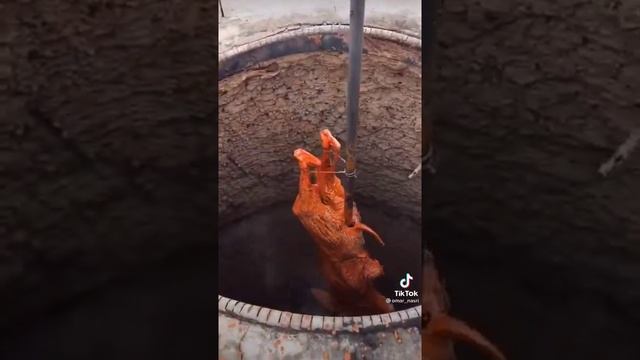Шашлык из верблюда смотреть онлайн