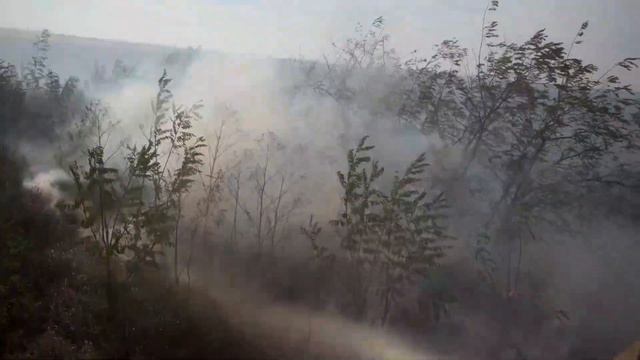 Особый противопожарный режим! смотреть онлайн