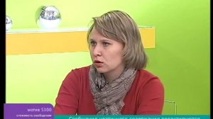 Как перевозить кошек Ветдоктор