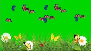 Футаж летающие бабочки на полянке на зеленом фоне 2/Footage flying butterflies in a clearing on a g