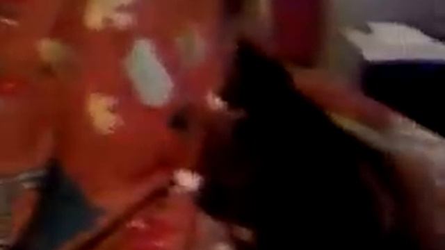 Кошка и хозяйка. смотреть онлайн
