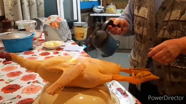 Как ощипать гуся быстро и правильно в домашних условиях! смотреть онлайн