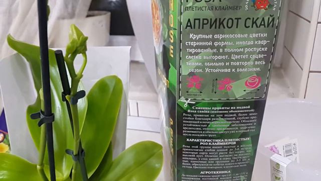 Обзор НОВИНОК . Мои ХОТЕЛКИ. смотреть онлайн