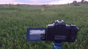 Canon M50 - снимаем таймлапс заката.