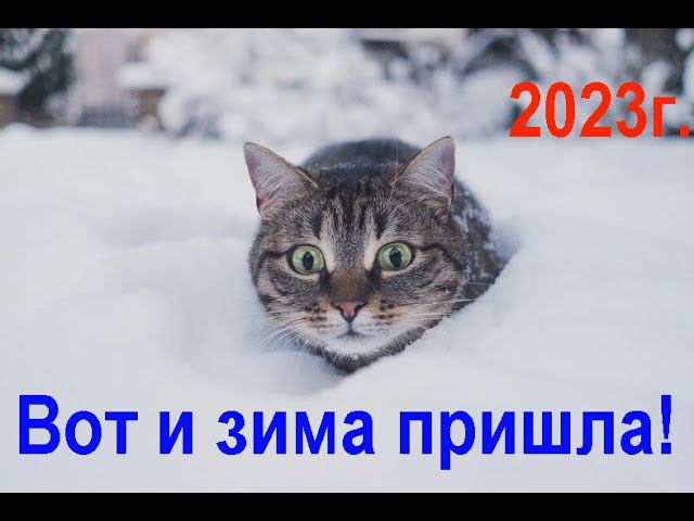 Вот и зима пришла. 2023г. Here comes the winter. 2023. смотреть онлайн