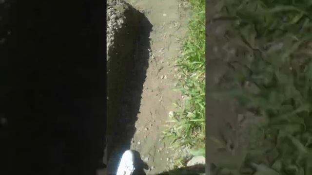 Жарим шашлык и маленький рум тур ?? смотреть онлайн