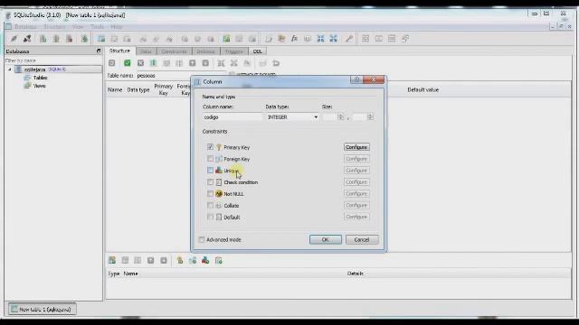SQlite Com Aplicativo Java Para Desktop смотреть онлайн