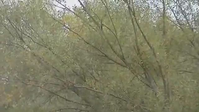 горная речка смотреть онлайн