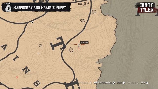 Raspberry & Prairie Poppy and same location - Loon Fence & Fence Close By - Red Dead Online смотреть онлайн
