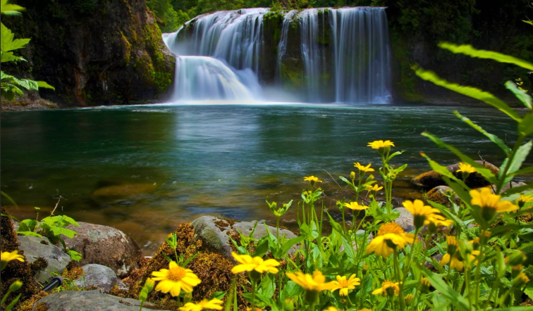 Звуки Лесной Природы - Нежный Водопад ✦ Звуки леса и пение птиц ✦ Relax Sleep смотреть онлайн