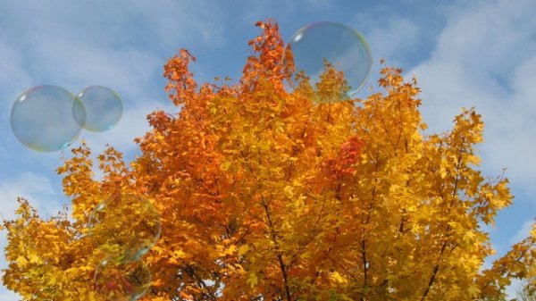 Edgarmusic - Autumn [Video Arturo Alvarotti] [2016.10.09]