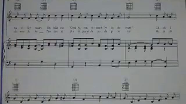 Tico-tico