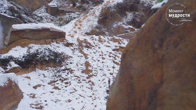 Как убежать от проблем? Где просить помощь? смотреть онлайн