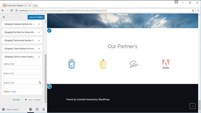 How to Setup Call For Action Section For Shapely Theme [Homepage Setup] смотреть онлайн