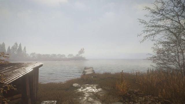 Медитации, Relax 2 ? Звуки природы,? пение птиц, ?Звуки Леса, для релаксации, сна? смотреть онлайн