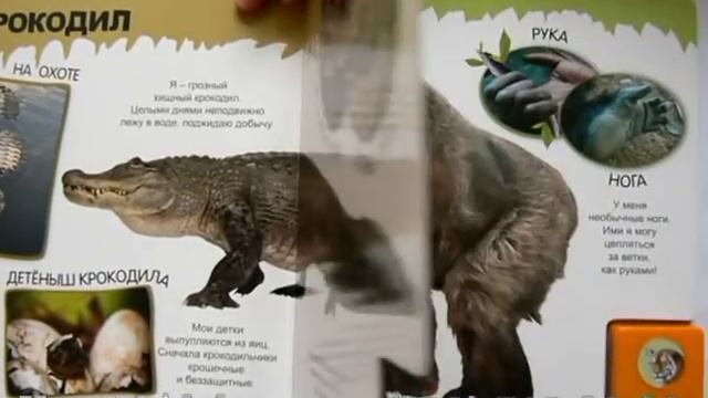 Про полосатого тигра и не только изд. Азбукварик смотреть онлайн