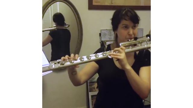 Flute Pickup, Flute Microphone, Demo by Elsa Nilsson смотреть онлайн