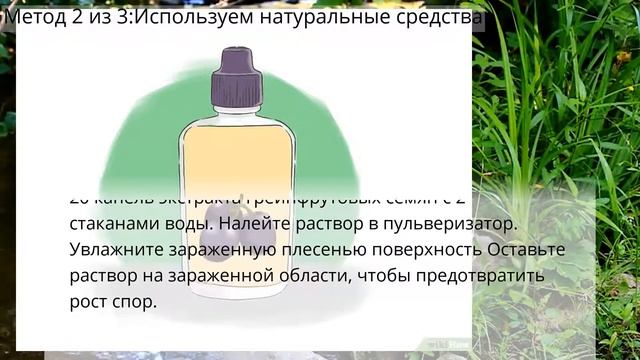 Как отмыть черную плесень смотреть онлайн