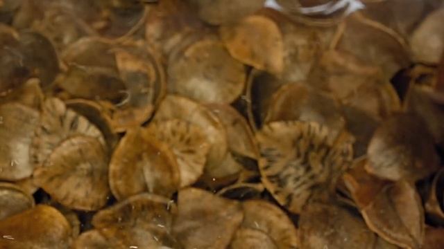 Подушка COMBI-RELAX с валиками и гречневой лузгой.Полезна для шейного и грудного отдела позвоночника смотреть онлайн