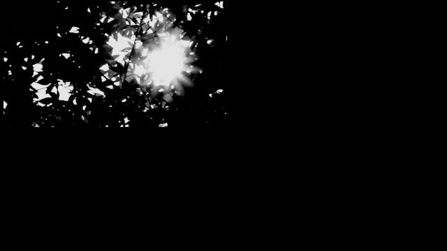 Paranormal Photography: The Sutera Process смотреть онлайн