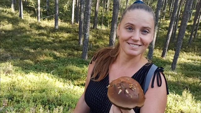 За грибами в Царникаву / Грибы в августе / Латвия Прибалтика Балтия / Sēnes Carnikavā - Lilaste смотреть онлайн