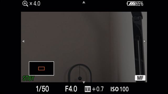 Get SHARP Manual Focus With These 3 Tricks || Sony Alpha (a7S III, a7 IV) смотреть онлайн