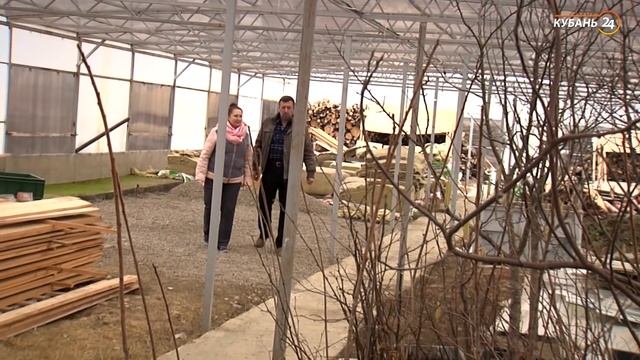 «Край аграрный». Необычные теплицы и учхоз «Краснодарское»