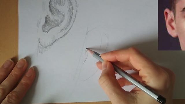 Як малювати вухо в різних ракурсах.