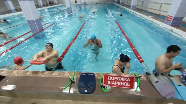 фламинго постоянно много народа смотреть онлайн