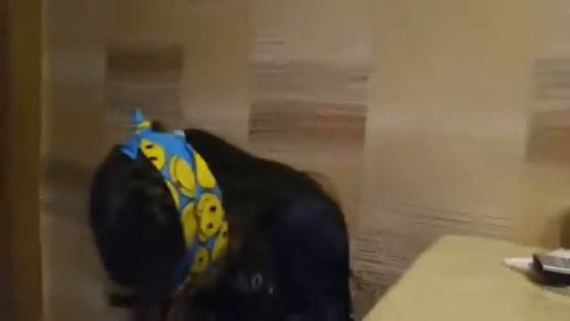 1 Челенж😘 смотреть онлайн