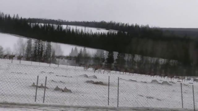 Разруха или возрождение села. Поездка к МАРАЛАМ смотреть онлайн