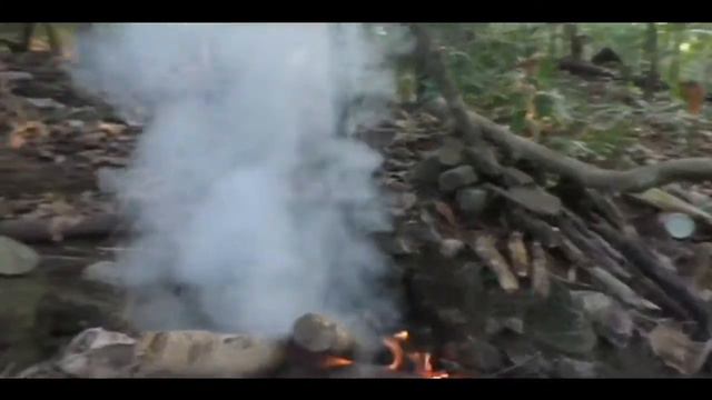 Ready To Cook Sweet Potatoes In A Fire For My Wife4 смотреть онлайн