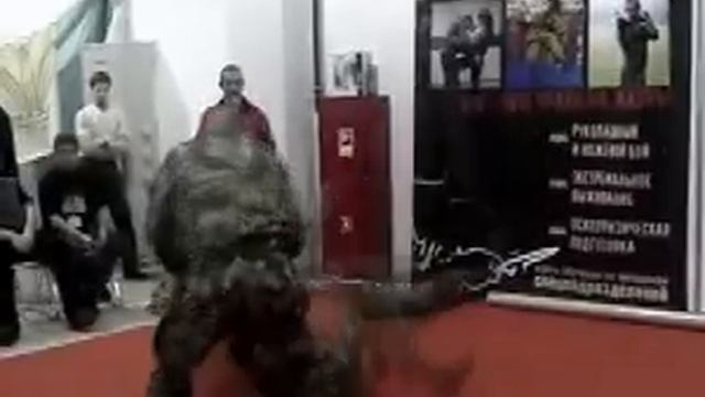 Рукопашный бой УНИБОС смотреть онлайн