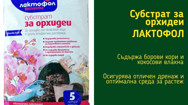 ОРХИДЕИТЕ - 10 златни правила за успех! смотреть онлайн