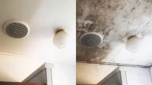 Heat Recovery and Ventilation Systems смотреть онлайн