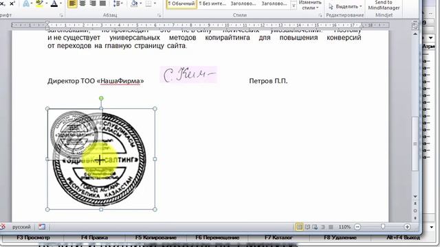 «Сканирование» своих документов с подписью смотреть онлайн